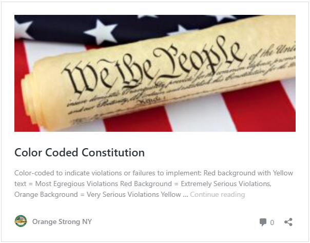 Color Coded Constitution icon